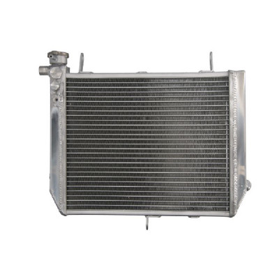 RADIATOR YAMAHA YZF R1 1000 2000 2001 foto