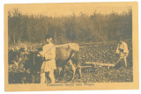 763 - ETHNIC men, Romania - old postcard - used - 1918, Circulata, Printata
