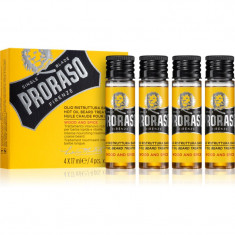 Proraso Wood and Spice Hot Set tratament intensiv cu ulei pentru barba si mustata deasa si aspra 4 x 17 ml