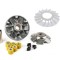 Variator Scuter Piaggio Piagio Quartz 49cc 50cc 80cc - Mare