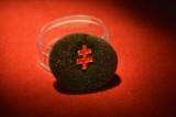 Insigna Masonica Grad 33 Ritul Scotian Antic si Acceptat