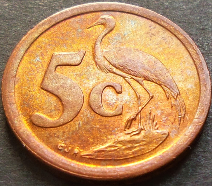 Moneda exotica 5 CENTI - AFRICA DE SUD, anul 2013 *cod 3167 = UNC PATINA