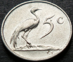 Moneda exotica 5 CENTI - AFRICA DE SUD, anul 1974 *cod 3920 A foto