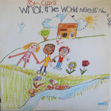 Vinil Tom Clay &lrm;&ndash; What The World Needs Now Is Love (-VG)