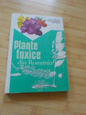 VALERIU ZANOSCHI--PLANTE TOXICE DIN ROMANIA foto