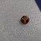 Insigna CEC