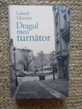 Gabriel Liiceanu - Dragul meu turnator, carte de Filosofie (418 pagini)