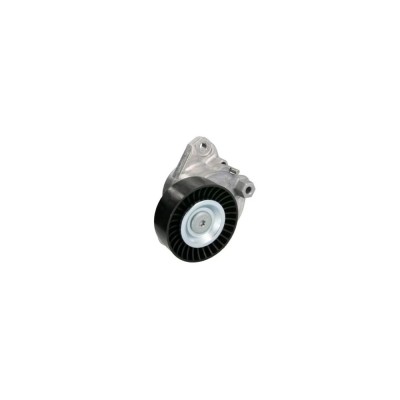 Intinzator curea MERCEDES-BENZ C-CLASS T-Model S204 DAYCO APV3177 foto