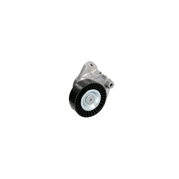 Intinzator curea MERCEDES-BENZ S-CLASS W221 DAYCO APV3177