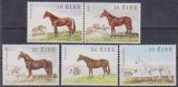 IRLANDA - 1981 - Cai de rasa