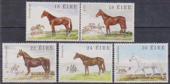 IRLANDA - 1981 - Cai de rasa
