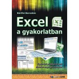 Excel a gyakorlatban - Gyakorlati p&eacute;ld&aacute;kkal &eacute;s azok r&eacute;szletes megold&aacute;si le&iacute;r&aacute;saival - B&aacute;rtfai Barnab&aacute;s