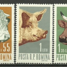 1962 - Animale de rasa, serie neuzata