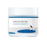 Round Lab Birch Juice Cremă Ușoară pentru Față cu Aloe Vera și Acid Hialuronic 80ml