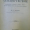 ISTORIA ARTELOR FRUMOASE DE N.D. IDIERU ,BUCURESTI 1898