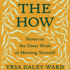 The How: Notes on the Great Work of Meeting Yourself