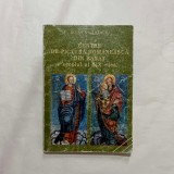 Rodica Vartaciu - Centre de pictura romaneasca din Banat - Secolul XIX