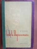 Cinta la Stupca o vioara- C.Ghiban