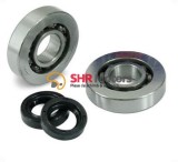 Rulmenti+ Simeringuri Piaggio/Gilera 125-150-180 2T
