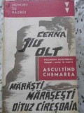 ASCULTAND CHEMAREA. AMINTIRI DIN PRIMUL RAZBOI MONDIAL-POLIHRON DUMITRESCU-264667