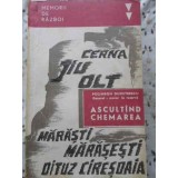 ASCULTAND CHEMAREA. AMINTIRI DIN PRIMUL RAZBOI MONDIAL-POLIHRON DUMITRESCU-264667