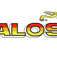 Sticker Moto Malossi Decupat 15x4cm