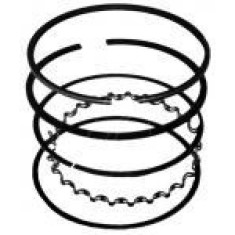 Segmenti Briggs - Straton -65 x 1.2 x 1.2 x 2mm