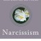 Narcissism: Denial of the True Self