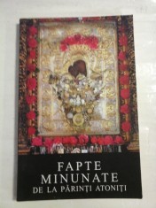 FAPTE MINUNATE DE LA PARINTI ATONITI - Arhimandrit Ioanichie Balan - Vanatori-Neamt Manastirea SIHASTRIA, 2004