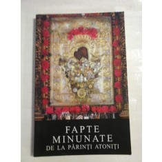 FAPTE MINUNATE DE LA PARINTI ATONITI - Arhimandrit Ioanichie Balan - Vanatori-Neamt Manastirea SIHASTRIA, 2004