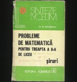 PROBLEME DE MATEMATICĂ PENTRU TREAPTA A II-A DE LICEU - ȘIRURI - BĂTINEȚU