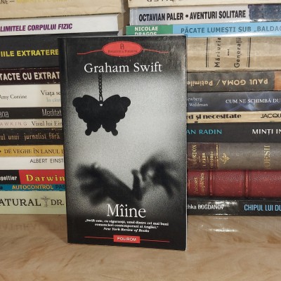 GRAHAM SWIFT - MAINE ( ROMAN ) , BIBLIOTECA POLIROM , 2008 * foto