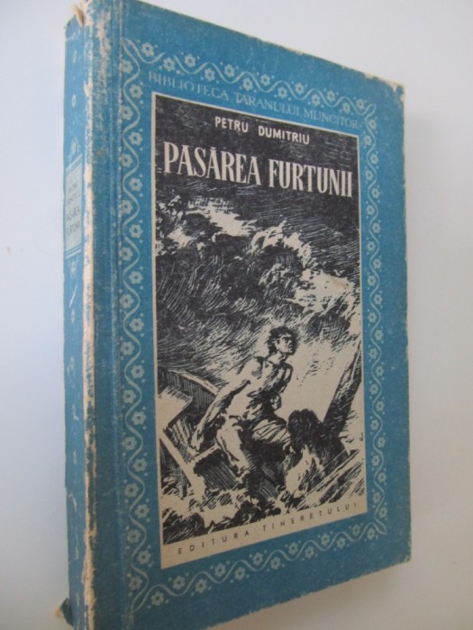 Pasarea furtunii - Petru Dumitriu