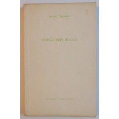 HOINAR PRIN BUCEGI-ANDREI PANDREA,1957