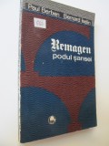 Remagen podul sansei - Paul Berben , Bernard Iselin