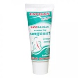 UNGUENT PENTRU MASAJ FAVIBALSAM 40ml FAVISAN