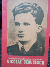 Tineretea revolutionara a tovarasului Nicolae Ceausescu foto