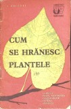 CUM SE HRANESC PLANTELE-I. GRIGORE-347605