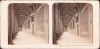 ST69N Roma, Le loggie di Giovanni da Udine in Vaticano, 1903, stereoscopic photo