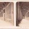 ST69N Roma, Le loggie di Giovanni da Udine in Vaticano, 1903, stereoscopic photo