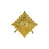 Insigna Grad OFFIZIER Stea Aurie RDG - Surplus Militar