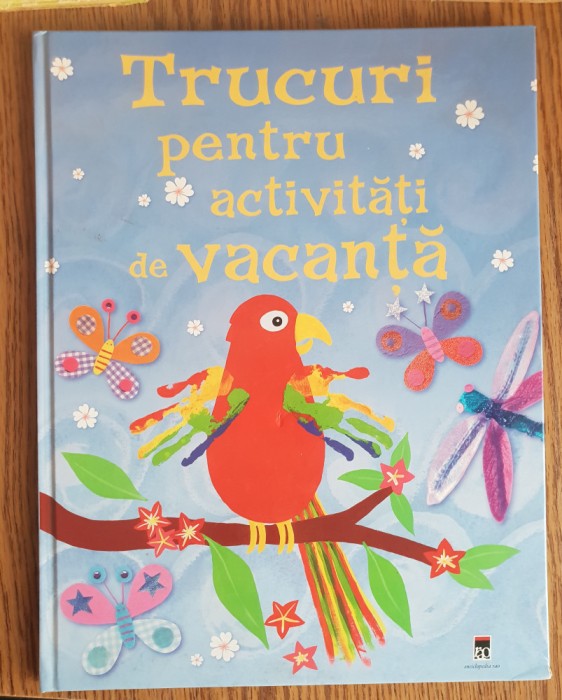 Trucuri pentru activități de vacanță - Fiona Watt