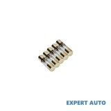 Siguranta subwoofer gold miv Alta marca Alt model #7