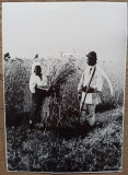 Tarani la munca campului, anii &#039;30// reproducere de epoca, Romania 1900 - 1950, Portrete