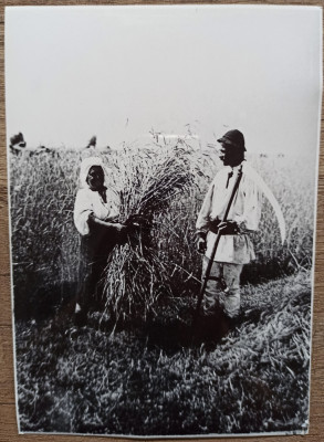 Tarani la munca campului, anii &amp;#039;30// reproducere de epoca foto