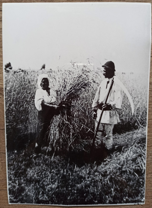 Tarani la munca campului, anii &#039;30// reproducere de epoca