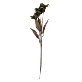 Cumpara ieftin Floare artificiala verde 8x5x60 cm