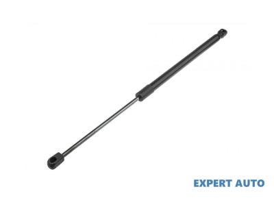 Amortizor haion Audi AUDI Q3 (8U) 2011-2016 #1 foto