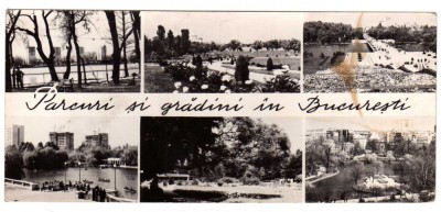 BUCURESTI PARCURI SI GRADINI RPR FORMAT LUNG foto