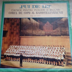 DISC ELECTRECORD EXD 1205: PUI DE LEI, CANTECE PENTRU PIONIERI SI SCOLARI (1969)